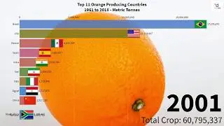 Top 11 Orange Producing Countries