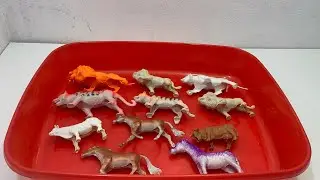 Sastisfying animal toys collection🧸 | lion , tiger , horse & cow 🐅🐄 | #toys #animaltoys