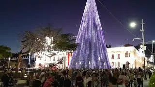 Noche Mágica en Centro Histórico
