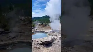 Steam and Splendor of the Norris Geyser | Yellowstone National Park