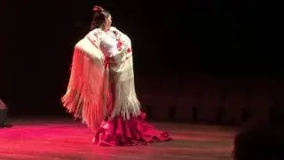 A comp&aacute;... FLAMENCO 💃🏼