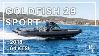 2018 Goldfish 29 Sport