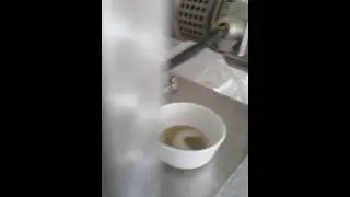 Hulled sunflower seed pressing