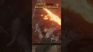 Bros Hate Being Watched 🥶| #eldenring #soulslike #memes