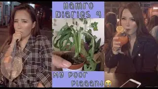(Nepali Vlog) Patch Plants order | Shisha timeee | Hamro Diaries