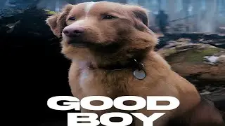 Good Boy Movie review | Indy, Shane Jensen, Arielle Friedman, Larry Fessenden