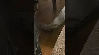 Candid 25y Women Feet In Cute Dirty Blue Socks (Faceshot)(Part 2)
