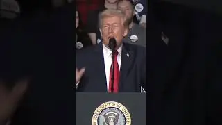Trump interrupted by protesters, calls them 'paid agitators'