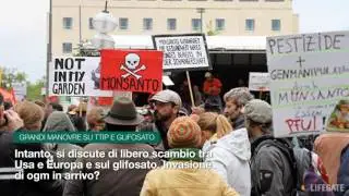 3 motivi per cui Bayer e Monsanto insieme fanno paura