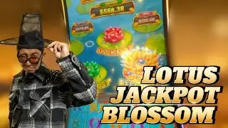 Lotus Flower Blossom Slot Machine 🌸 DOUBLE POT MAJOR HANDPAY | $30 Max Bet