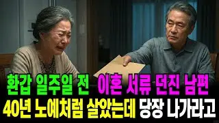 환갑 앞두고 이혼 통보한 남편, 아내가 꺼낸 '30년 가계부'에 무릎 꿇었습니다 | 오디오북 | 노후 | 사연라디오 | 부모자식