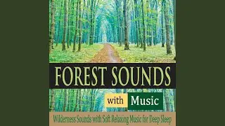 Nature Moods for Deep Sleep