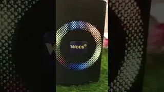 Woos Speaker|