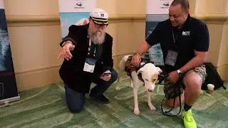 Between 2 Sterns with Rufus from K9's For Warriors