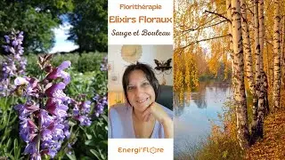 Pr&eacute;sentation &Eacute;lixirs Floraux Sauge et Bouleau 