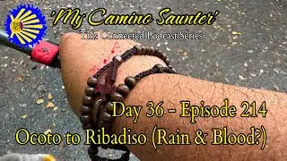 Day 36 - Episode 214: Ocoto to Ribadiso (Rain & Blood?)