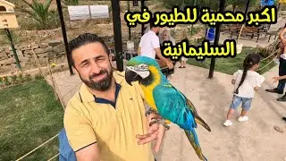 Крупнейший декоративный птичий заповедник в провинции Сулеймания