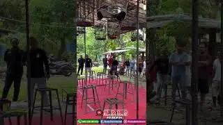 Detik detik konser murai batu kelas utama Piala Gema Takbir KPLS #hobi #kicaumania #murai #muraibatu