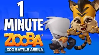 ZOOBA IN 1 MINUTE