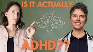 Anxiety, ADHD, or Regression? How Lyme, Mold, PANS & PANDAS Impact Kids
