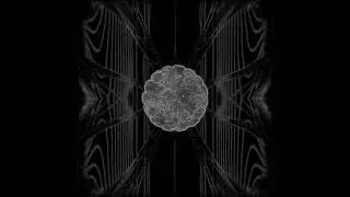 MINKOWSKI SPACE | Audiovisual Quantum BioArt by Dulbecco | 2025