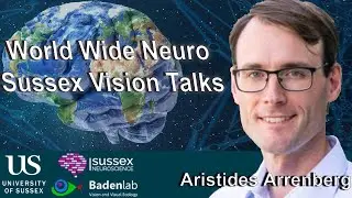 World Wide Neuro | Sussex Vision Series - 28/09/2020 - Arisides Arrenberg