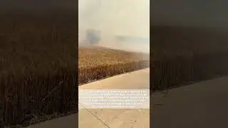 Heroic Harvest: Brave Combiner Saves Crops from Flames!