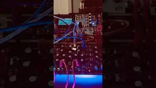 Generative ​⁠@MAKEN0ISEMUSIC  Multi Wave / NUSS system ambient patch. #eurorack #ambientmusic