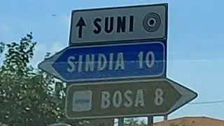 Suni (OR) in auto - 2X speed 🚙🇮🇹