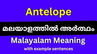 Antelope meaning in Malayalam/Antelope മലയാളത്തിൽ അർത്ഥം