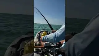 Dragged 2 MILES From the Beach by a MONSTER Fish