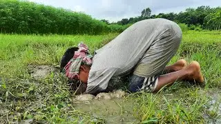 Best Underground Fishing  Amazing Fisherman Catching Big Catfish Underground Hole By Hand