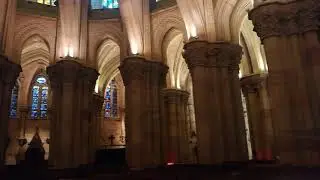 Свадьба в Саграде Фамилии. VLIR Wedding Barcelona