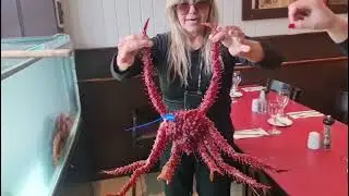 Ushuaia Argentina - Centolla &eacute; o nome desse crust&aacute;ceo. 