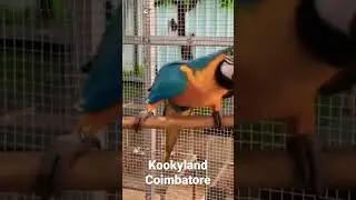 Kookyland Coimbatore  Exotic Birdpark