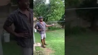 Bird goes free un harm