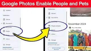 Google photos not showing people and pets option | How to enable people and pets option
