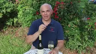 Simi Sonoma Chardonnay 2020, Wild Wine Tasting Notes, Wild Wine Life