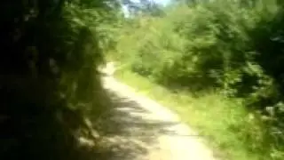 tam110