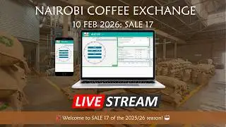 Sale 17 of season 25/26 Auction Livestream