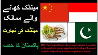 Frog eating & Trade l مینڈک بطور خوراک اور تجارتl Part 2