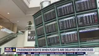 Stuck at the airport for a delayed or canceled flight? What can you do?
