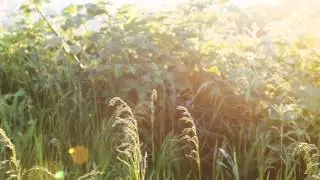 1440p test - Blackmagic 2.5k Debayered (No Audio)