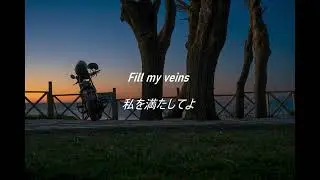 【和訳】Veins - The Chainsmokers, Daya