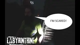 I'M BEING HUNTED IN A MAZE WITH STITS!!! - Labyrinthine