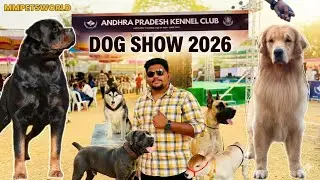 Best Dog show in Hyderabad | APKC 2026 | MMPETSWORLD