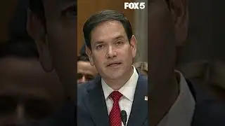 Watch live: Bondi, Rubio, more Cabinet picks face Senate hearings today