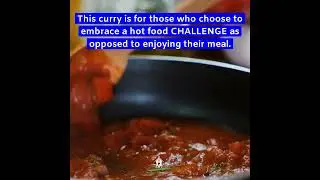 What is Phall? 🔥