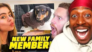 BEHZ AND FAITH GOT A NEW FAMILY MEMBER!!