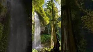 Crystal Shower Falls NSW Australia 🇦🇺